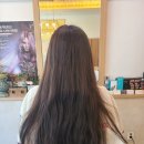 라벨르살롱(La belle salon) | [인천] 부평역미용실 : 라벨르살롱 La belle salon