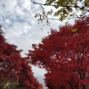 화수목펜션 이미지