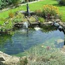 연못이 있는 풍경 이미지