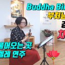 [차총 단독공연] 바람이 불어오는 곳 ukulele 연주 이미지