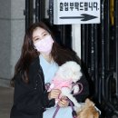레아 이미지