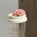 나주곰탕황순옥며느리 | ❣️시트콤같은 일상❣️ / 여름이 시작되고 있잖아 5-6월 일상