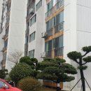 비디오 이미지