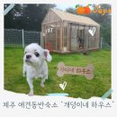 개덩이네 하우스 이미지