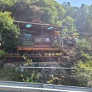 산속비버스 이미지