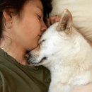 이상순 카카오 검색결과