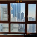 이안솔라 이미지