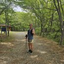 산마 20주년 창립기념 5산대회 사진(2026.4.26) 이미지