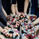 마이미스로즈