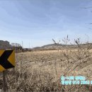 신도리-5 이미지