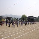 영인초등학교 | 아산 영인초등학교 운동회 행사 후기