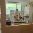 신사숙묘 | 렉돌 고양이 위생미용_부산 북구 신사숙묘