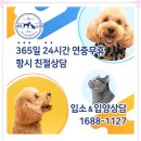 아이조아 요양보호소 경기광주 | 원주강아지보호소 안심 입소 도와준
