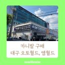 모터리스트카클리닉 | 30대 아빠의 패밀리카 찾기 중고차 카니발 구입 대구 오토월드 엠월드 방문기 엔카활용