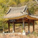 명월3리 | 담양 죽포정(竹圃亭)