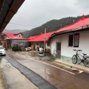 다락방 친구들 | 하이디의다락방 분천산타마을 분천역 1분 거리 시골 카페 생강라떼 후기