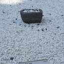 부여가든 이미지