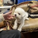 구미가 당기다 이미지