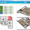 오션스파랜드 이미지