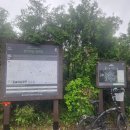왕숙천공원 왕숙교하부 | 경기옛길 평해길 제1길 망우왕숙길 딸기원~망우역사공원~구리시청~합수머리세월교 2025/05/20(화)