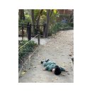 (주)아이엠대화 이미지