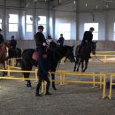 홍성군 승마장 이미지