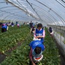 김창원농장 이미지