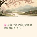 창포 목장 | 양평 가볼만한곳 &amp; 서울근교 데이트코스 추천 🌿 꽃구경 완벽 가이드