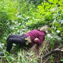 군북치안센타 이미지