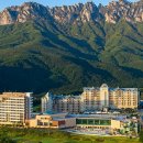 더엠브로시아 이미지