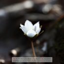 플로리스트전문가교육 이미지