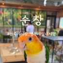 순창 앵무새팜 이미지