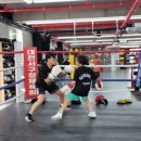 대전 여성복싱 이미지