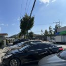 송정리 막국수 이미지