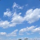 네잎클로버헤어샵 - 여수시 신월로 561-6 | 네잎클로버헤어샵
