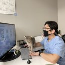 아이들 동물병원 이미지