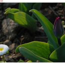 온유정원 이미지