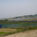 세일농장 이미지