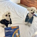 대구약국 이미지