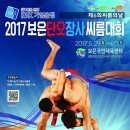 2017 보은 단오장사씨름대회. 인천 연수구청 감독 한대호교수님 이미지