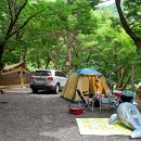 향림오토캠핑장 이미지