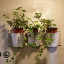 꿈을 그리다 이미지