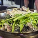 군자 머구리 이미지