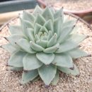 우암농장 이미지