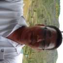 영월 금호정 이미지