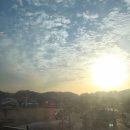 조이미용실 | 새솔동미용실 살롱조이 새솔동점 제이디자이너 커트 후기