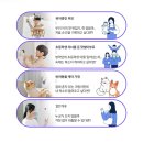 어디서나 편리하게! KT 홈캠 안심🔐