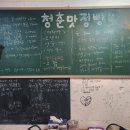 [송정리맛집] 청춘맛점빵, 노포 술집 현지인맛집 후기!