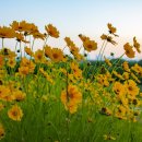 금강수변공원1 이미지