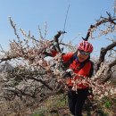 공세리농장 이미지